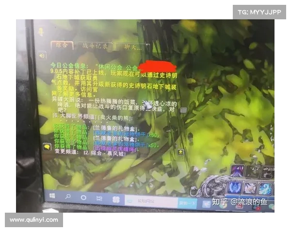 魔兽世界战斗记录：经验获取之道